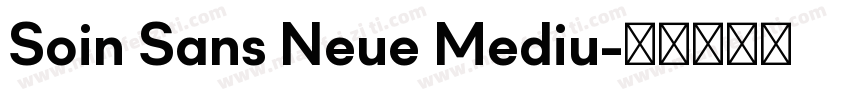 Soin Sans Neue Mediu字体转换